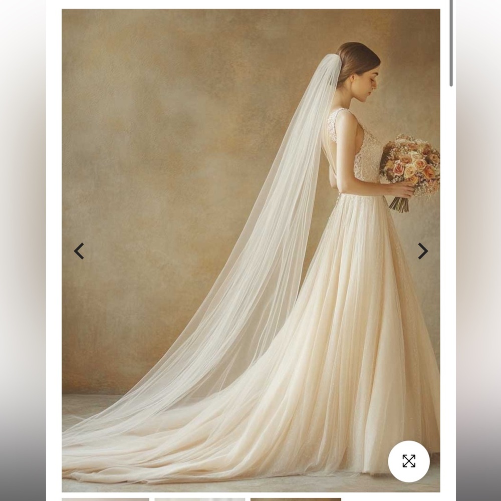 NWT Cathedral Length Ivory Veil
